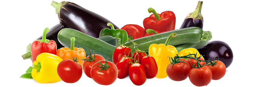 Masorganic hortalizas productos