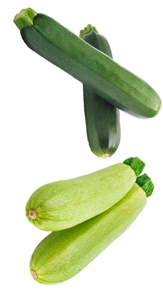 Mas organic calabacin